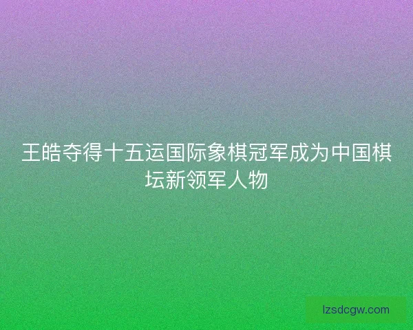 王皓夺得十五运国际象棋冠军成为中国棋坛新领军人物