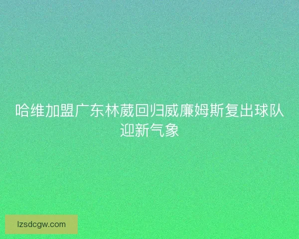 哈维加盟广东林葳回归威廉姆斯复出球队迎新气象