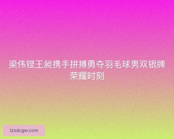 梁伟铿王昶携手拼搏勇夺羽毛球男双银牌荣耀时刻