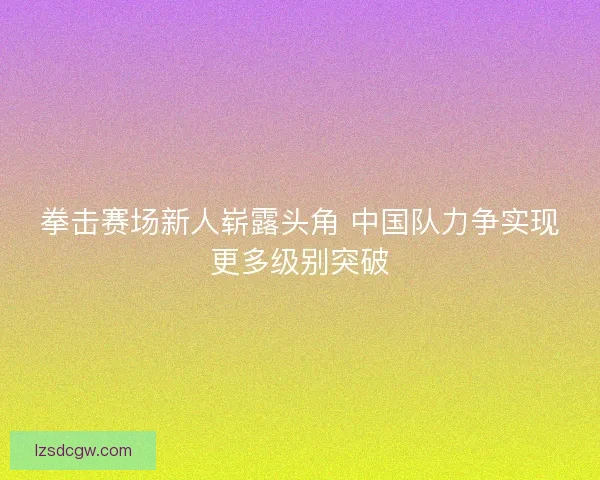 拳击赛场新人崭露头角 中国队力争实现更多级别突破 拳击赛场新人崭露头角 中国队力争实现更多级别突破