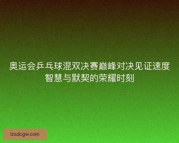 奥运会乒乓球混双决赛巅峰对决见证速度智慧与默契的荣耀时刻